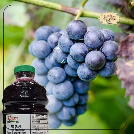 Best red grape concentrate for wine making