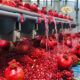 Production method of pomegranate concentrated juice