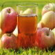 Export of apple juice concentrate to Russia