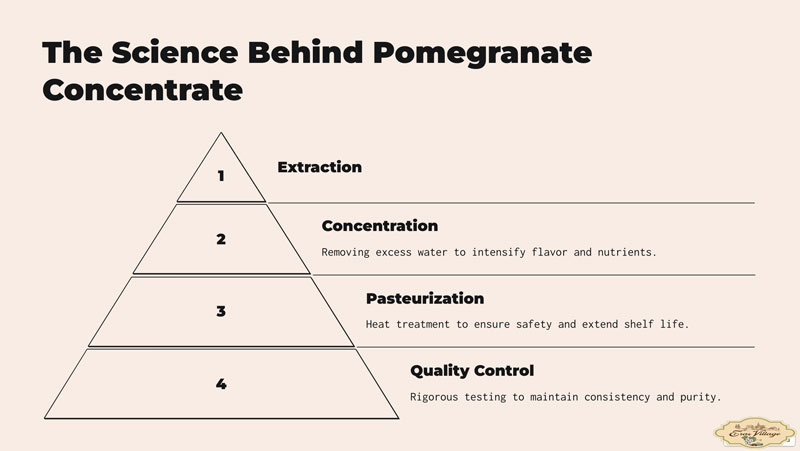 The Science Behind Pomegranate Concentrate